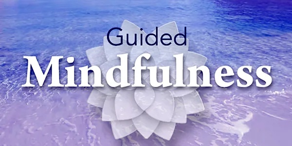 Guided Mindfulness is a virtual experience provided with the REAL System i-Series