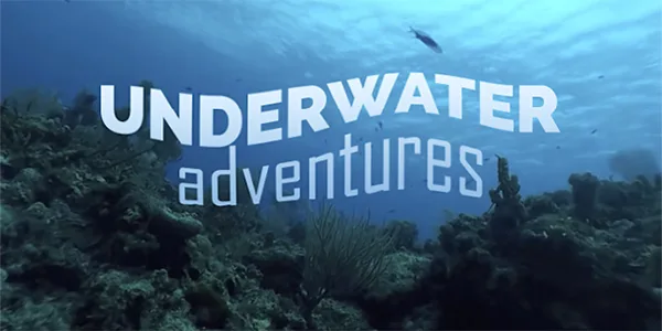 Underwater Adventures is a virtual experience provided with the REAL System i-Series